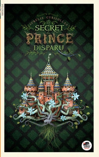 Le secret du prince disparu