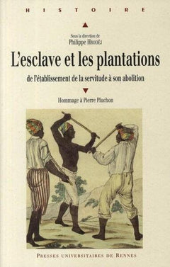 L'esclave et les plantations