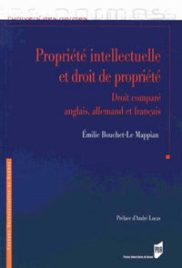 Propriété intellectuelle et droit de propriété
