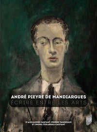 Écrire entre les arts
