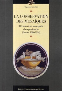 Conservation des mosaïques