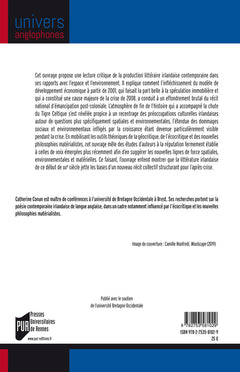 La littérature irlandaise au XXIe siècle: Matière, espace, environnement