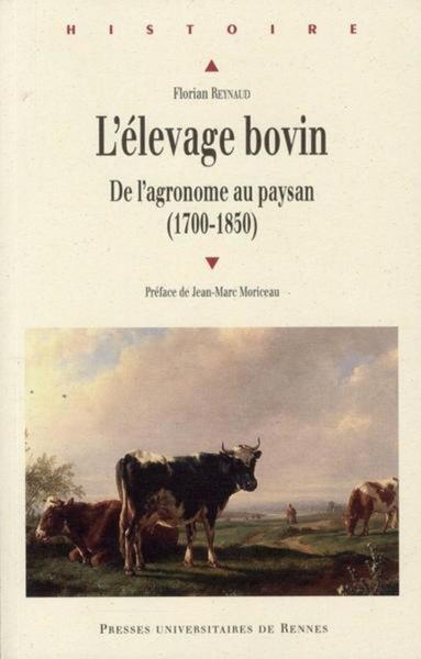 Elevage bovin