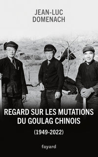 Regard sur les mutations du goulag chinois