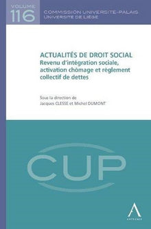 ACTUALITÉS DE DROIT SOCIAL - REVENU D'INTÉGRATION SOCIALE, ACTIVATION CHÔMAGE ET
