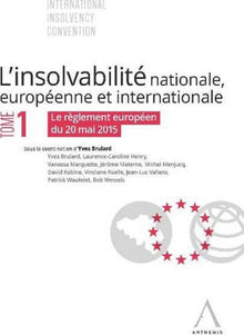 L'insolvabilité Tome 1 : Nationale, européenne et internationale