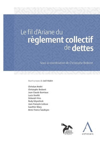 le fil d'ariane du règlement collectif de dettes