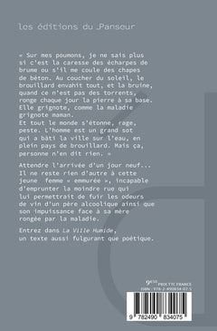 La ville humide