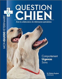 Question chien : mon guide vétérinaire