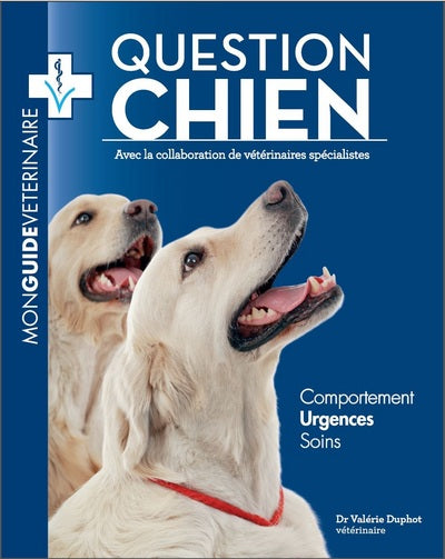 Question chien : mon guide vétérinaire