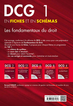 Les fondamentaux du droit en fiches et en schémas
