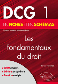 Les fondamentaux du droit en fiches et en schémas