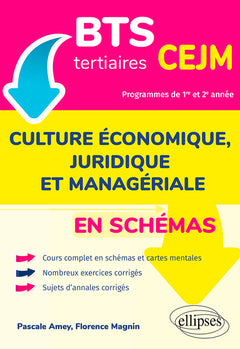 Culture économique, juridique et managériale en schémas BTS tertiaires CEJM