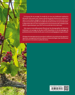 Le Vin au fil des saisons