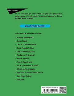 Étude sur Madame Bovary