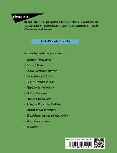 Étude sur Madame Bovary