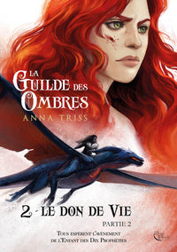 La Guilde des Ombres T2P2