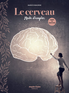 Le cerveau : Mode d'emploi