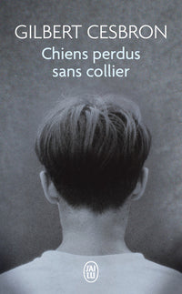 Chiens perdus sans collier