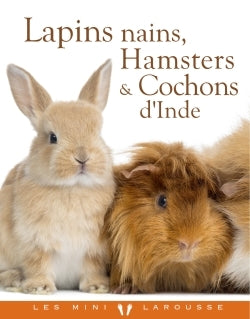 Lapins nains, Hamsters et Cobayes