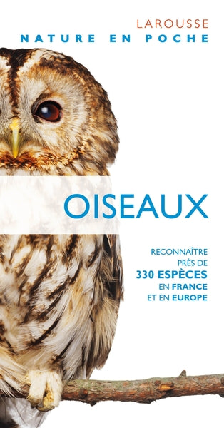Oiseaux - Nouvelle Présentation