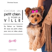 Choisir un petit chien pour la ville