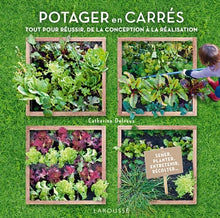 Potager en carrés