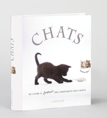 Chats - nouvelle présentation
