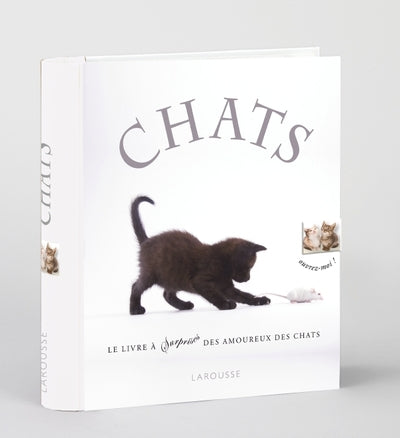 Chats - nouvelle présentation