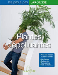 Les plantes dépolluantes