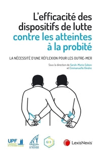 L'efficacité des dispositifs de lutte contre la probité nécessite réflexion outre-mer