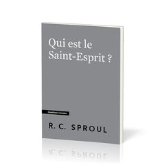 Qui est le Saint-Esprit ?: Questions cruciales