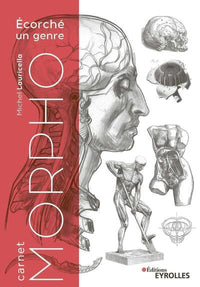 Carnet morpho : Écorché un genre