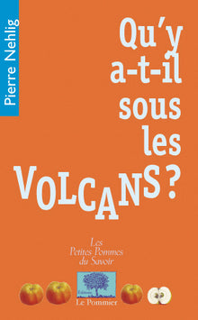 Qu'y a-t-il sous les volcans?