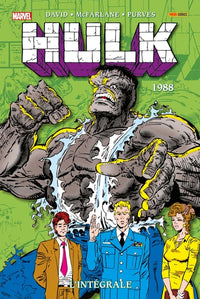 Hulk: L'intégrale 1988 (T03)