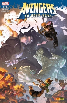 Avengers: No Road Home