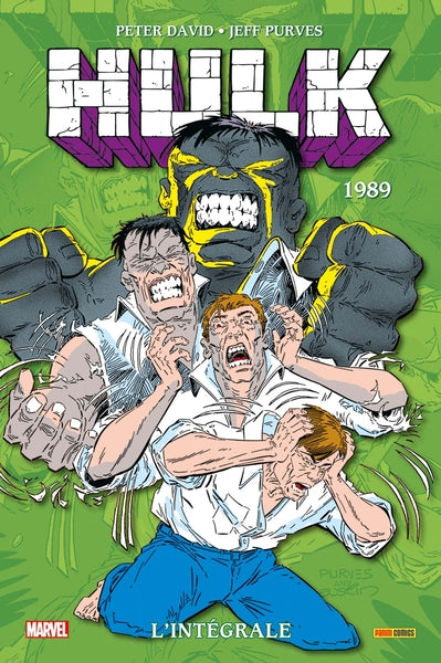 Hulk: L'intégrale 1989