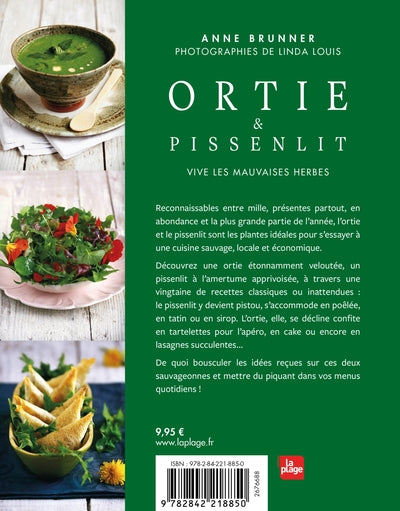 Ortie et pissenlit