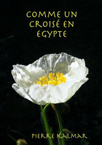 Comme un croisé en Egypte