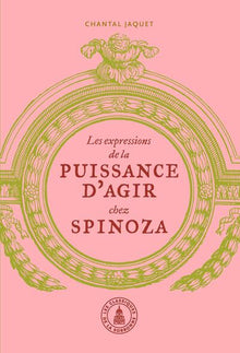 Les expressions de la puissance d'agir chez Spinoza