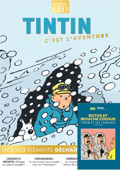 Tintin c'est l'aventure 22: Face aux éléments