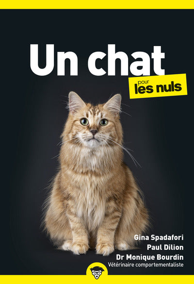 Un chat Poche pour les nuls