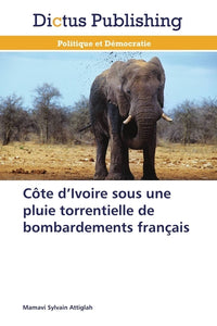 Côte d ivoire sous une pluie torrentielle de bombardements français