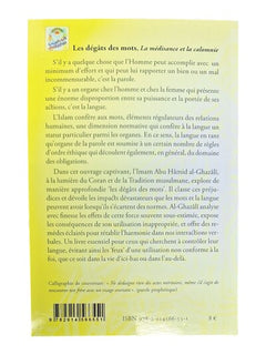 LES DéGâTS DES MOTS GRAND FORMAT