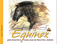 EQUINOX - PETIT CHEVAL DE LA GROTTE ORNEE DU PONT D'ARC,ARDECHE