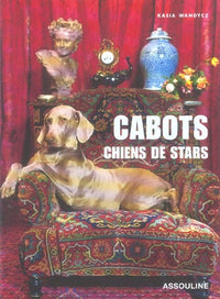 Cabots: Chiens de stars