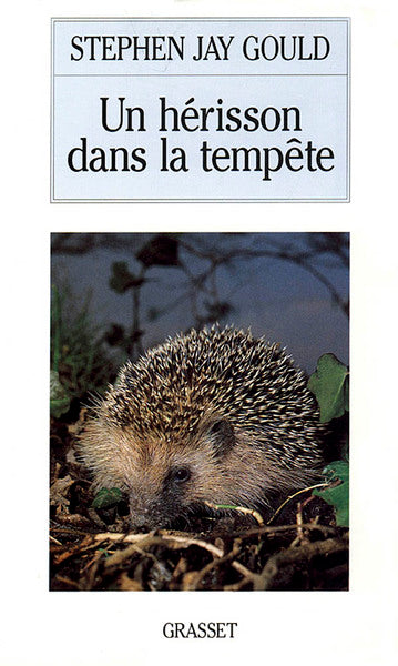 UN HÉRISSON DANS LA TEMPÊTE