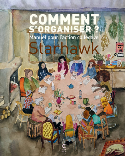 comment s'organiser?: manuel pour l'action collective