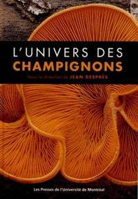 Univers des champignons