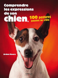 Comprendre les expressions de son chien 100 postures passées au crible